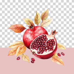 تصویر انار برش خورده با بوته