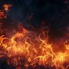 باندل پترن شعله واقعی آتش - تصویر 5