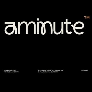 فونت انگلیسی Aminute